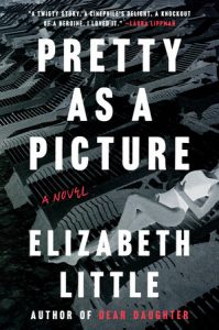 Pretty as a Picture by Elizabeth Little