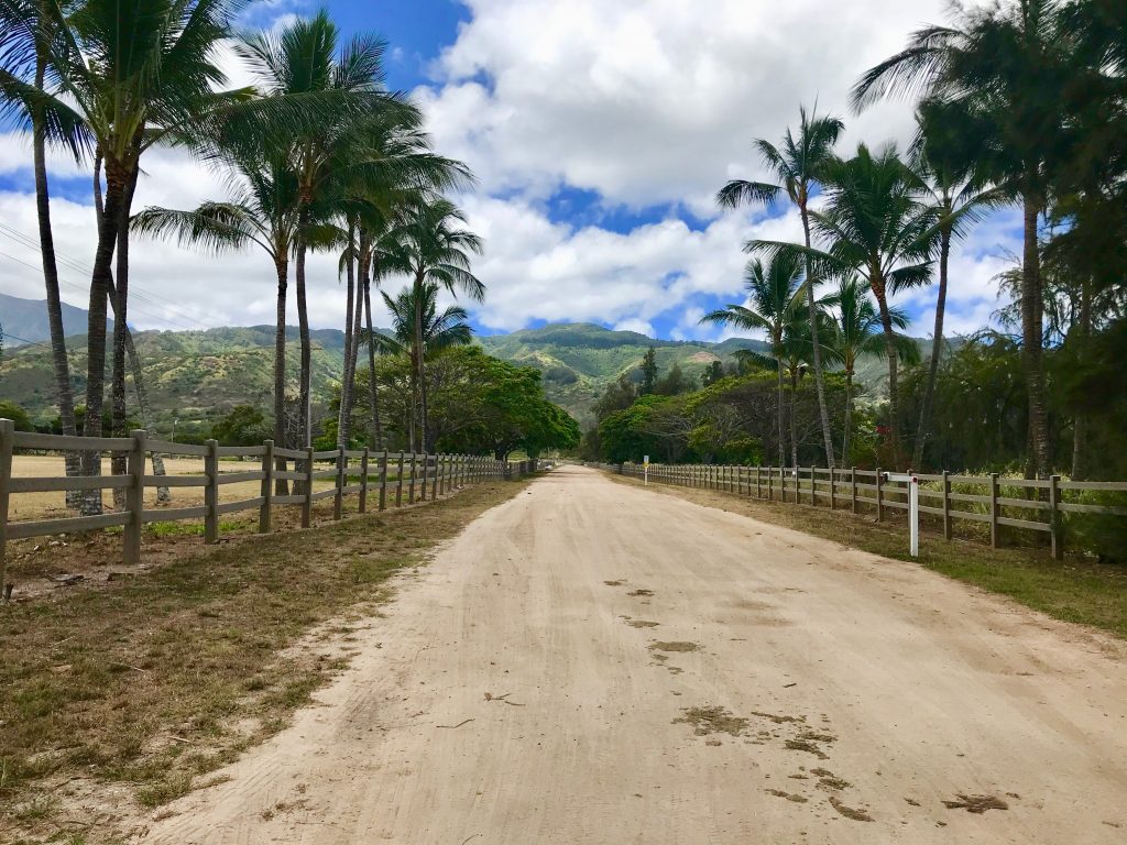 Dillingham Ranch/Polo Fields in Mokuleʻia