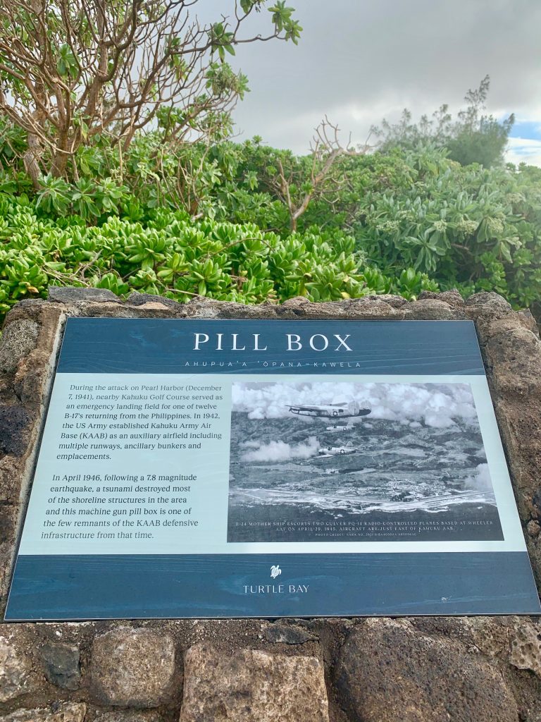 Turtle Bay Resort pillbox
